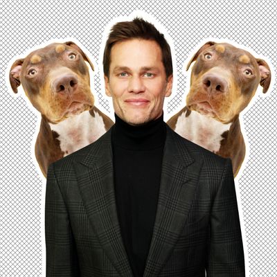 How Did Tom Brady Clone His Family Dog?