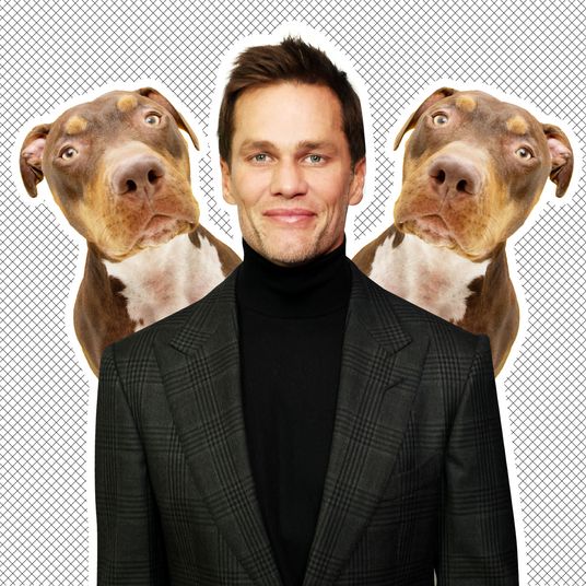 tom brady dog clones