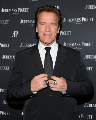 Arnold Schwarzenegger attends Royal Oak 40 Years: From Avant-Garde to Icon at Park Avenue Armory on March 21, 2012 in New York City.