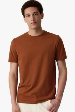 Gap Everyday Soft Crewneck T-shirt