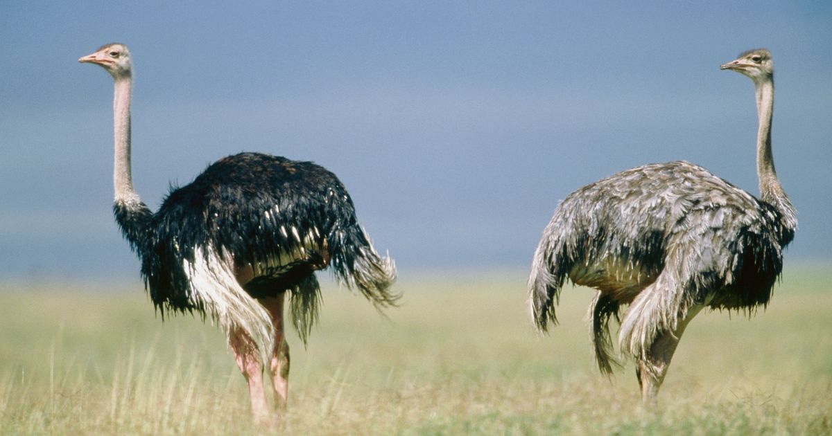 Ask Polly Men Are the Worst, and I’m Married to One!