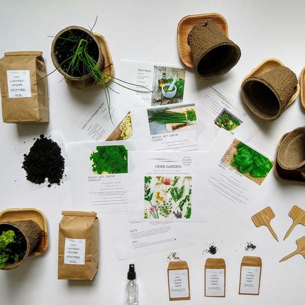 Organic Kitchen Herb Gardening Kit