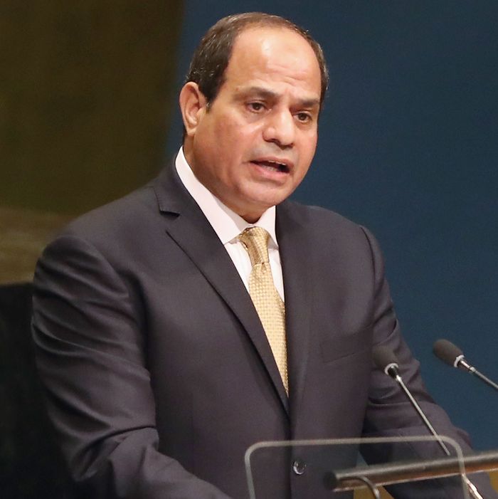 Egyptian Strongman: Trump Will Be ‘Strong Leader’ for U.S.