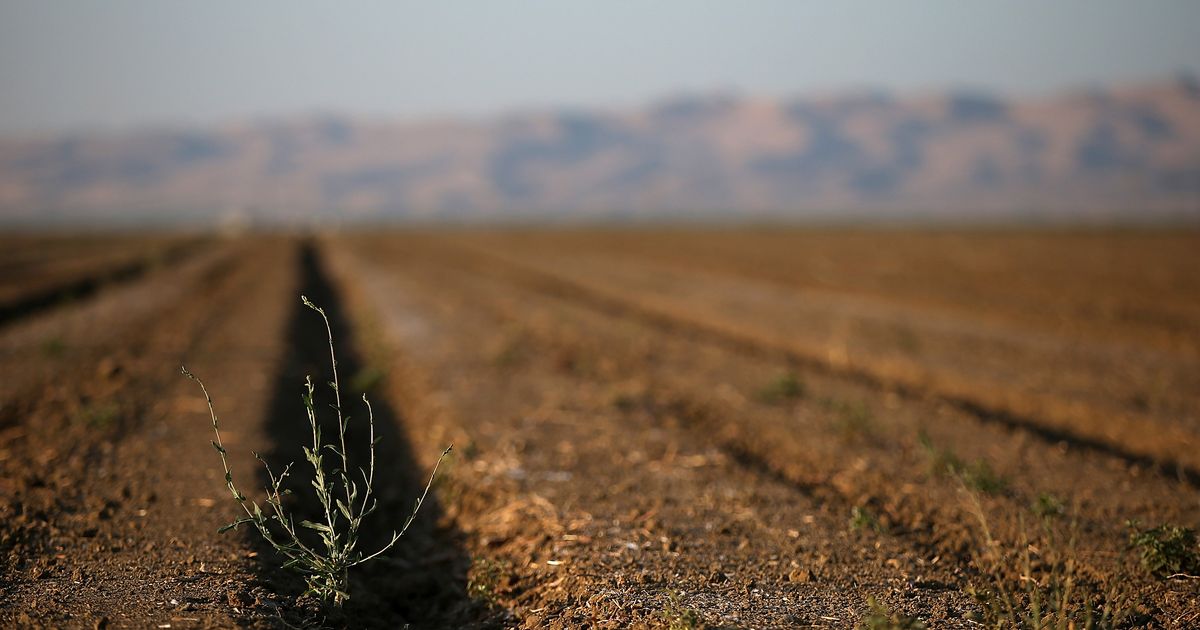Dunkin’ Donuts Adds Almond Milk Just in Time for Worst Agricultural