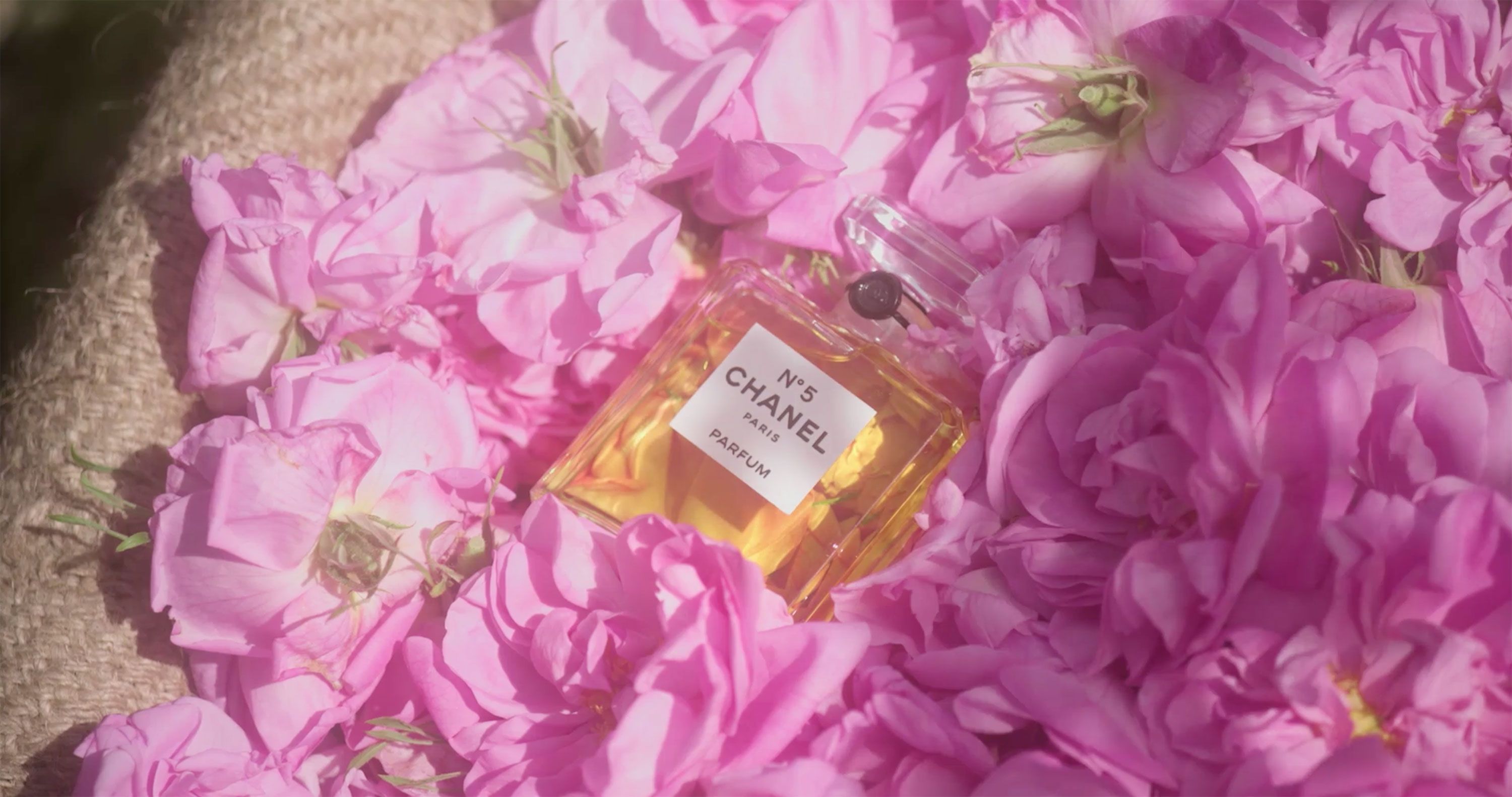 See All the May Roses That Go into a Bottle of Chanel No. 5
