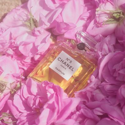 See All the May Roses That Go into a Bottle of Chanel No. 5