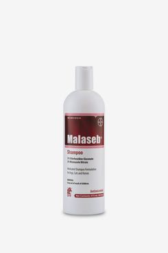 Malaseb Shampoo (16 oz)
