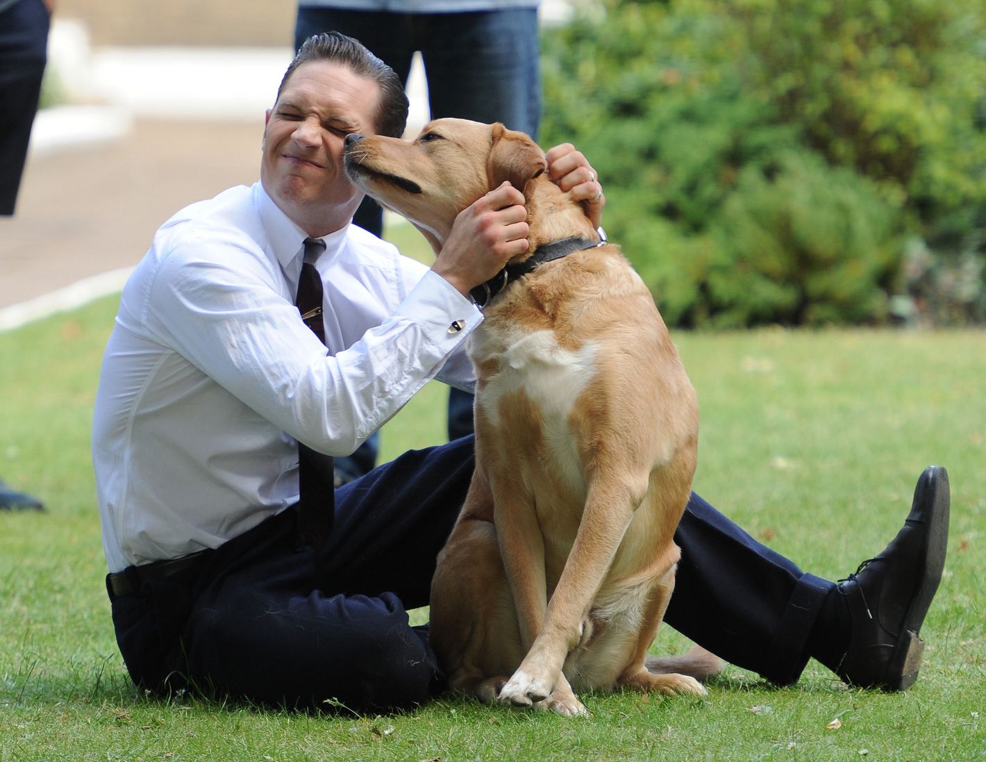 How to Kiss a Puppy, by Tom Hardy