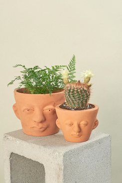 Rooted Classica Face Planter