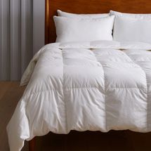 Quince Premium Down Comforter