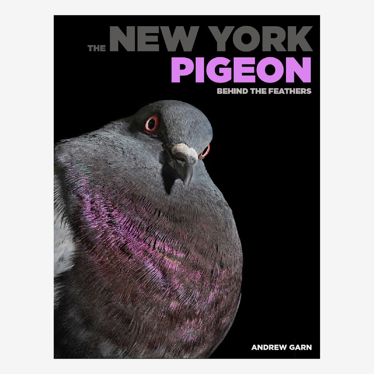 father's day gifts for bird lovers
