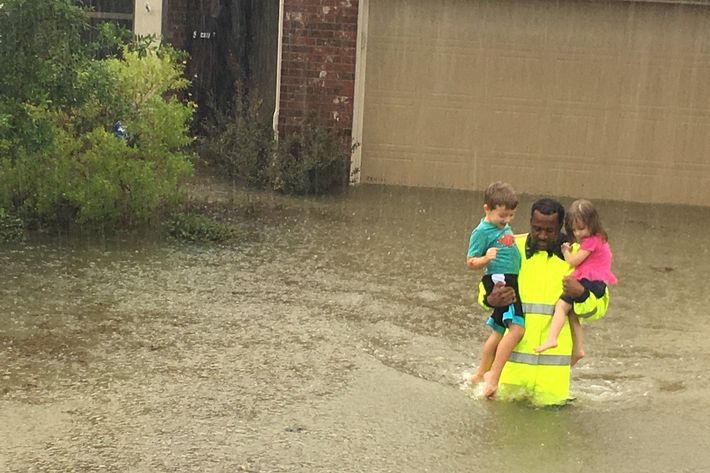 Houston Flood Catch Fich In Living Room