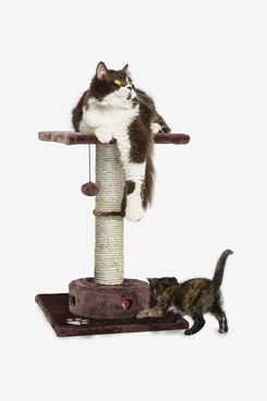 expensive cat tree
