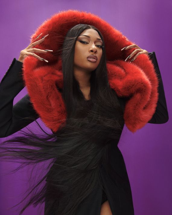 Don't Mess With Megan Thee Stallion