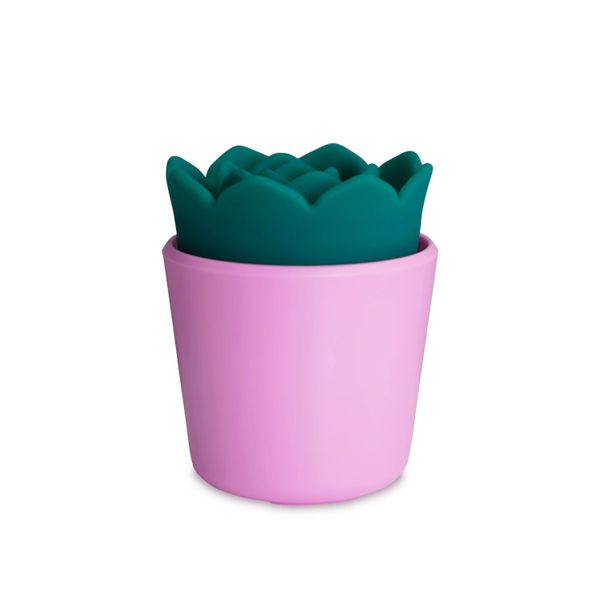 PlusOne Succulent Arouser