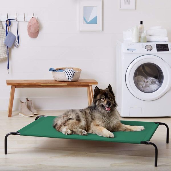 can a dog bed go in the washing machine