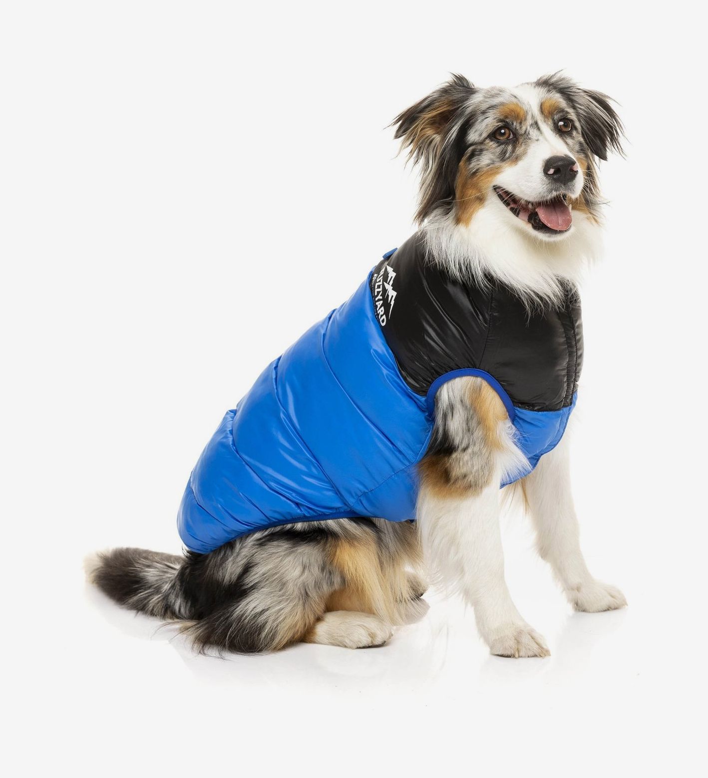 puffer coat dog