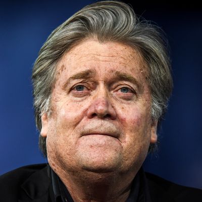 Steve Bannon.