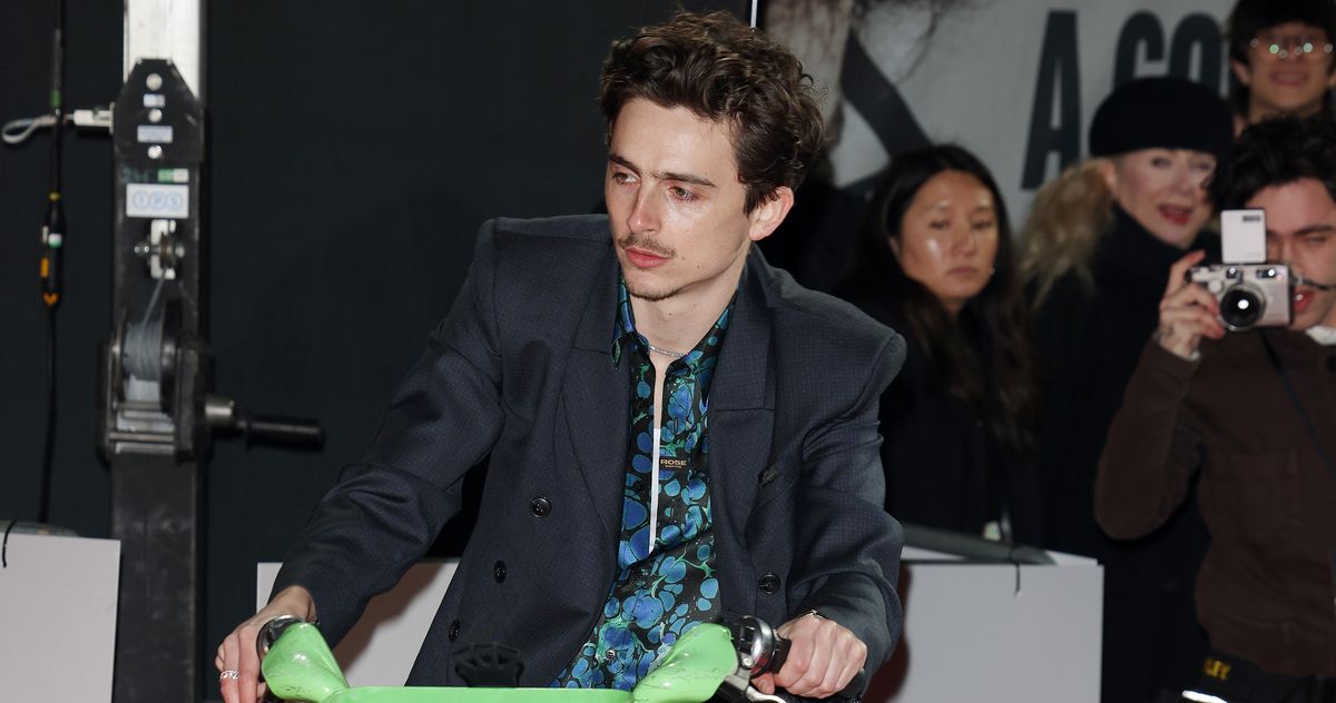 Timothée Chalamet Went Electric and Got Fined