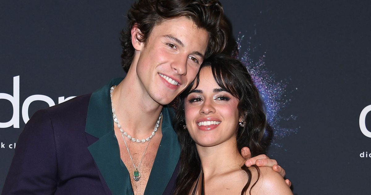 Which Shawn Mendes Wonder Lyrics Are About Camila Cabello