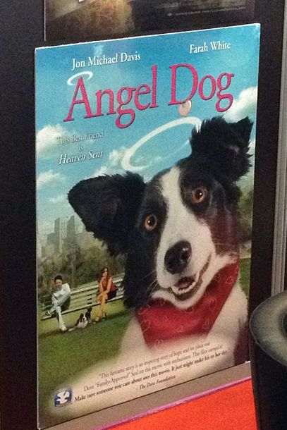 ... where some dogs go to heaven, while others are sent back to Earth as vaguely cross-eyed canine cherubim.