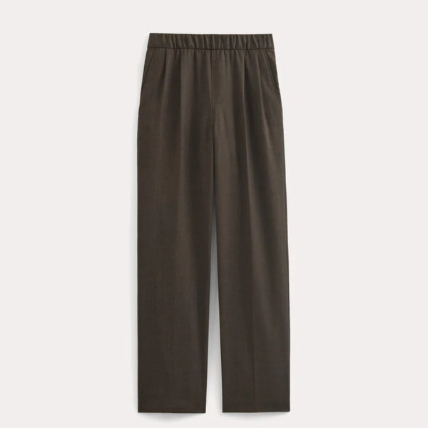 Everlane Pleated Trouser in Tailor Twill
