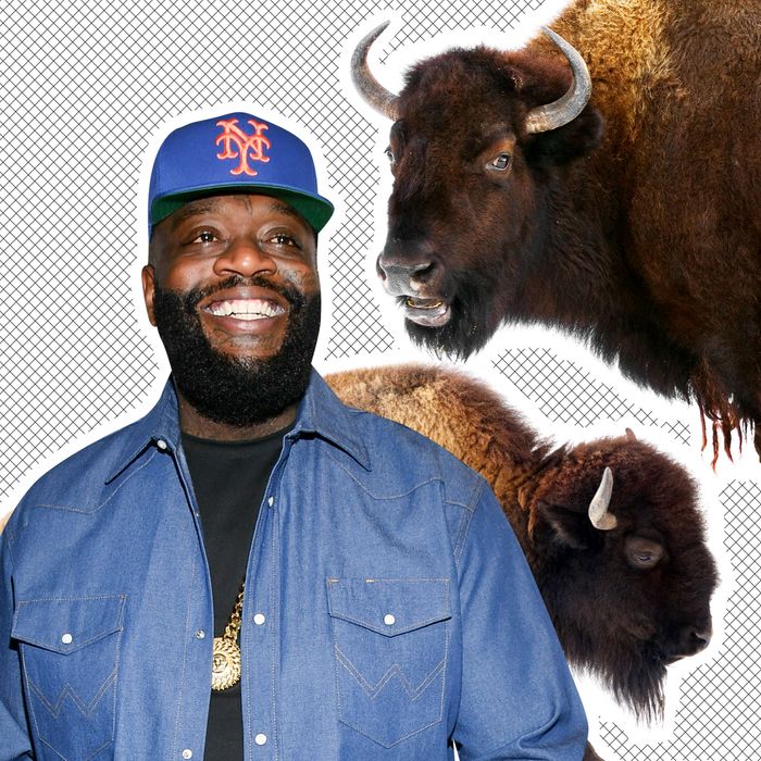 Rick Ross’s Buffalo Cannot Be Contained