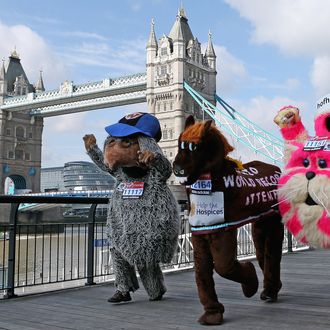 LONDON, ENGLAND - APRIL 20: Competitors attempting to break various Guinness World Records pose in front of Tower Bridge during a photocall ahead of the Virgin London Marathon 2012 on April 20, 2012 in London, England. Mark Millrine will attempt to break the Guinness World Record for the fastest marathon completed dressed as a book character. Marc Jenner, dressed in costume as children's tv programme character Bagpuss will attempt to break the Guinness World Record for the fastest marathon completed dressed as a television character. (Photo by Andrew Redington/Getty Images)