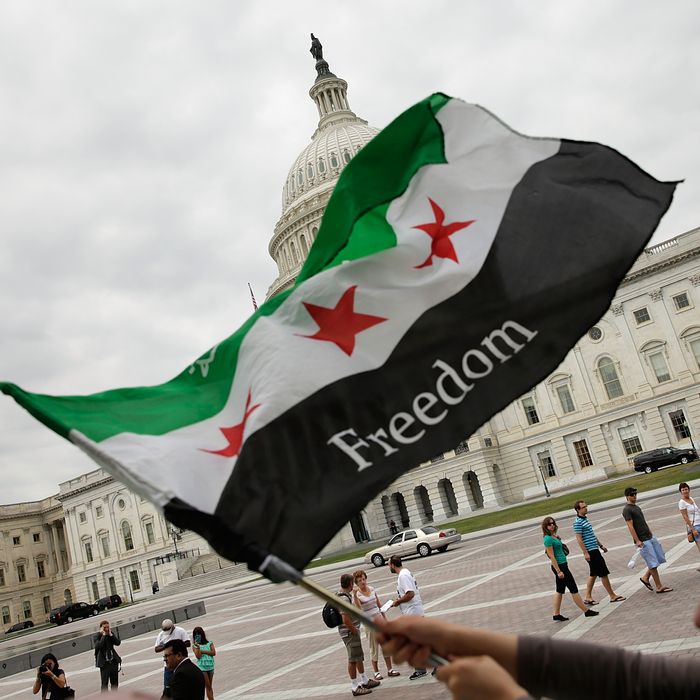 Protestors At US Capitol Call For Intervention In Syria