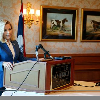 Wyoming Senate candidate Liz Cheney addresses reporters at a news conference in the Little America Hotel and Resort in Cheyenne, Wyoming on July 17, 2013. Cheney, the daughter of former Vice President Dick Cheney, will run against longtime incumbent Sen. Mike Enzi (R-WY). Cheney launched her campaign yesterday following Enzi's announcement that he will run for a fourth term. 