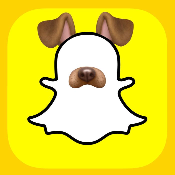 how do you get the dog face on snapchat