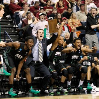 Ohio Bobcats bench reacts to a late three point score as they defeated University of South Florida Bulls to advance to the Sweet 16 during their men's NCAA third round basketball game in Nashville, Tennessee, March 18, 2012.