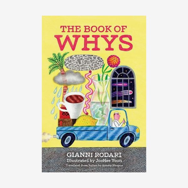 ‘The Book of Whys,’ by Gianni Rodari