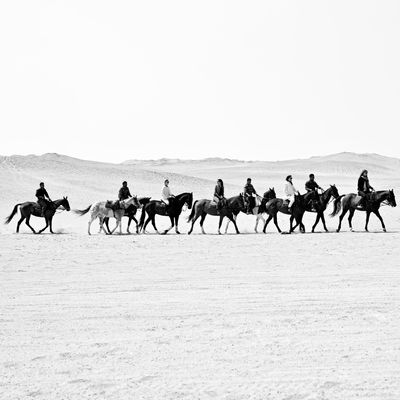 Riding polo horses in Egypt's Abusir Desert.