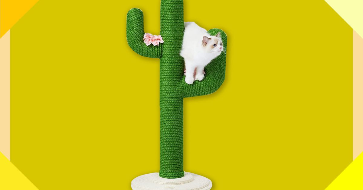 Cactus Surprise! Treat Dispenser