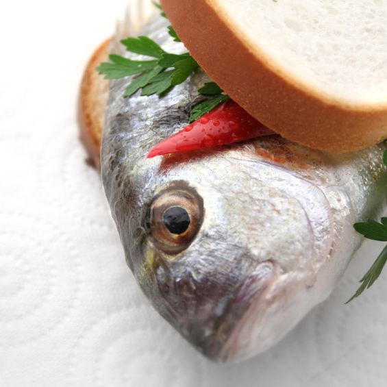 A tuna fish sandwich, hold the bicycle.