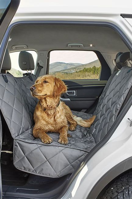 16 Best Car Seats Crates And Harnesses For Dogs 2022 The Strategist - Best Car Seats For Dogs With Anxiety