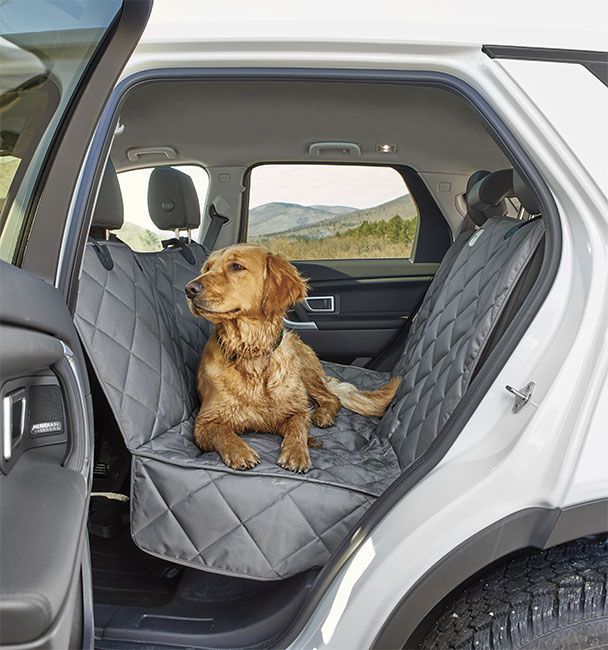pet car restraints