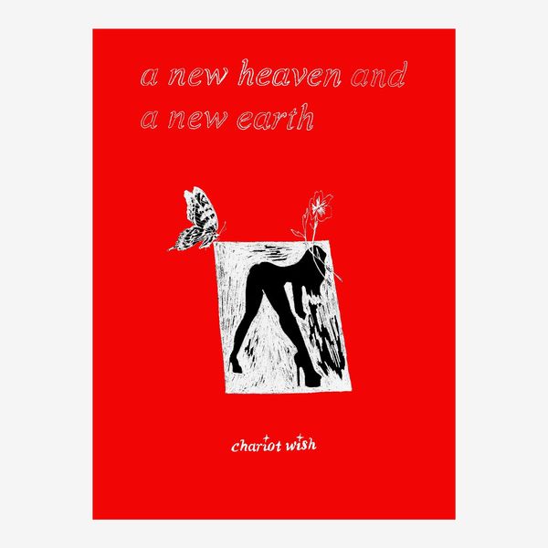 A New Heaven and Earth
