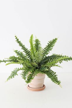 Afloral Fake Indoor/Outdoor UV Protected Boston Fern Plant - 17