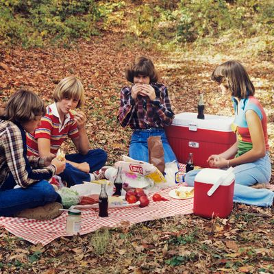 Yeti best sale picnic cooler