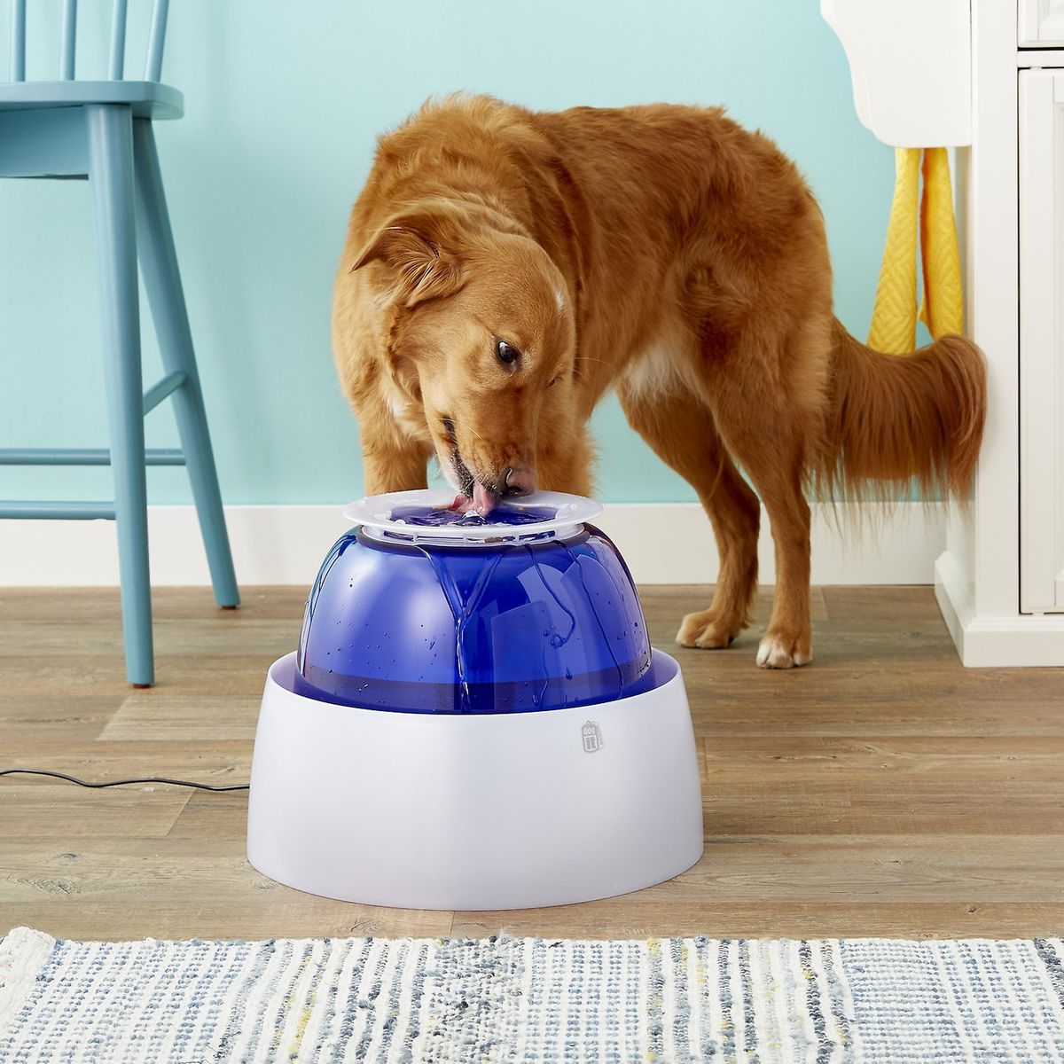 The 14 Best Automatic Pet Feeders and Water Fountains | The Strategist