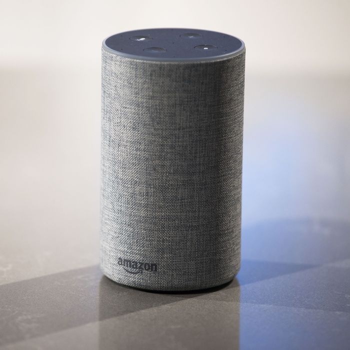 Use Alexa to Find Polling Place and Election Data