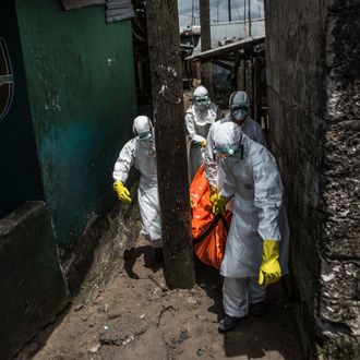 Red Cross members carry dead body of Mambodou Aliyu (35) died due to the Ebola virus,, in Monrovia, Liberia on 15 October, 2014.