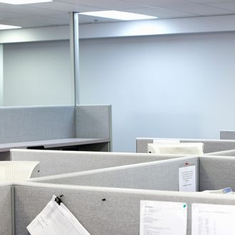 Cubicles in office --- Image by ? 2/Noel Hendrickson/Ocean/Corbis