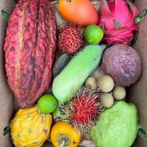Miami Fruit Variety Box