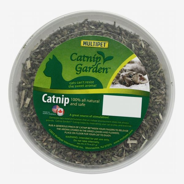 Multipet Catnip Garden Catnip Tub