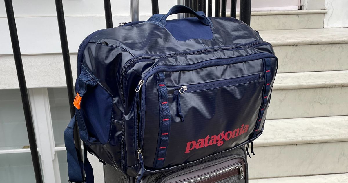Patagonia 26L Black Hole Mini Pack Review 2021 | The Strategist