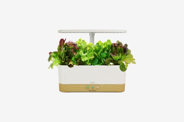 Goodful by AeroGarden Harvest Slim White with Wood Base and Gourmet Herbs Seed Pod Kit