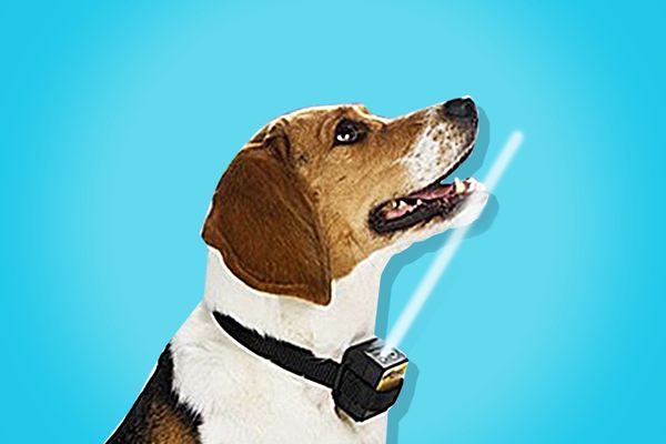 PetSafe Gentle Spray Bark Collar